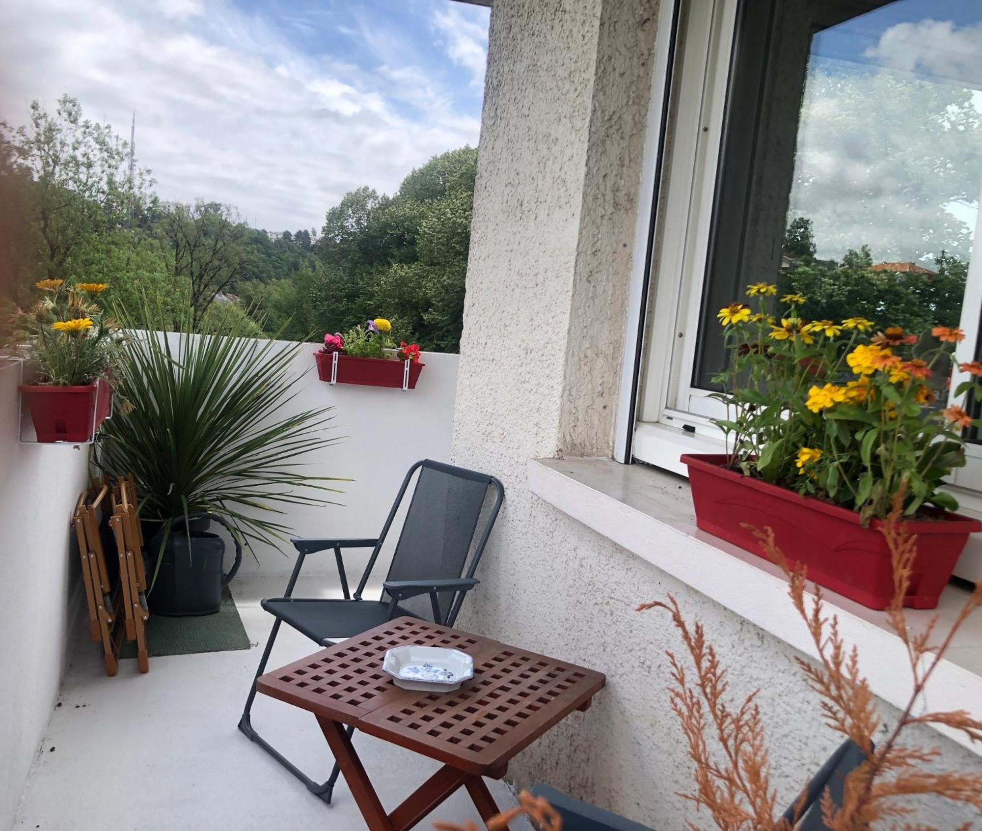 Appartement Chez Jean-claude, Vue Panoramique Au Reveil *